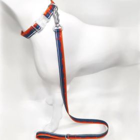 Blue-Orange Gradient Dog Collar & Leash Set, Waterproof Wear-Resistant TPU, Transparent Quick-Release Buckle, for Small & Medium Dogs (size: L)